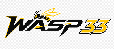 wasp 33